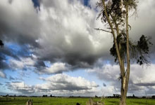 中超战队逆袭，闯入国际赛场