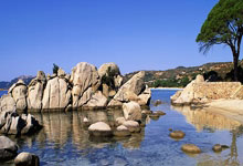 皇家马德里主场大胜葡萄牙体育，小组头名