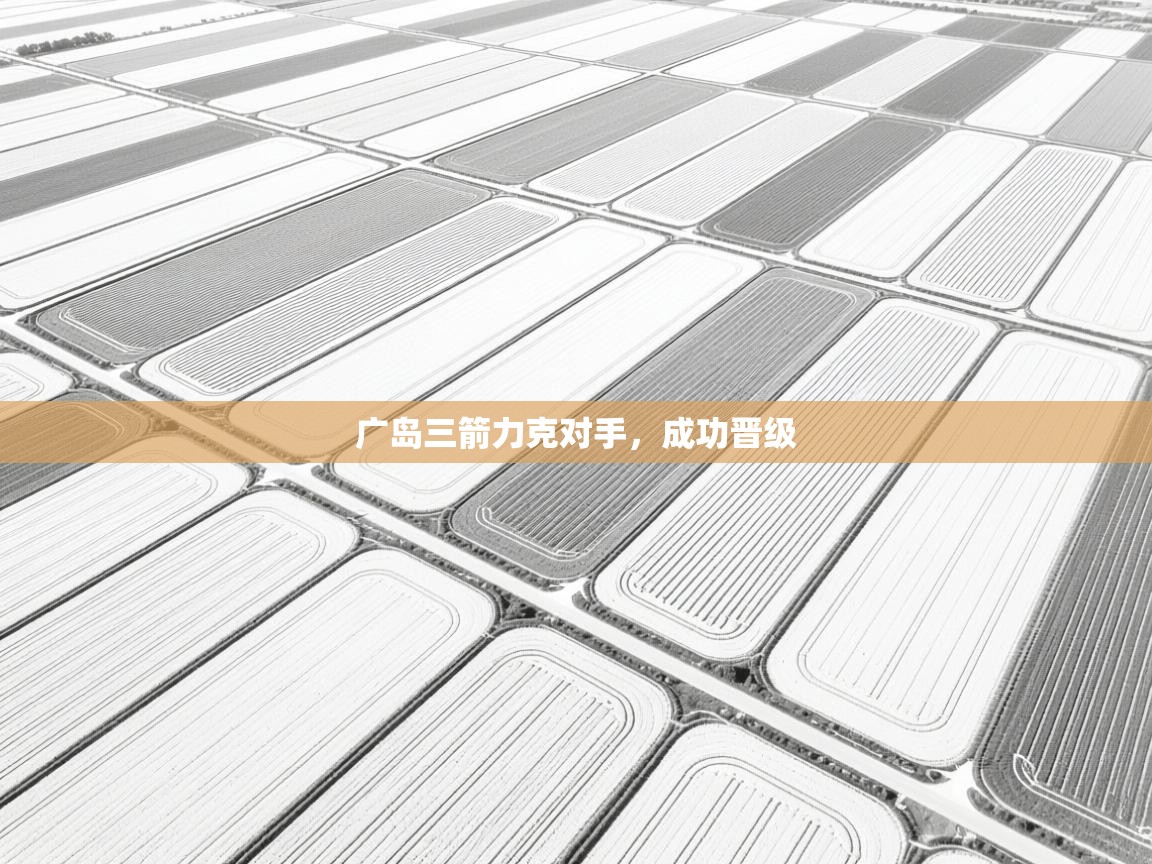 广岛三箭力克对手，成功晋级