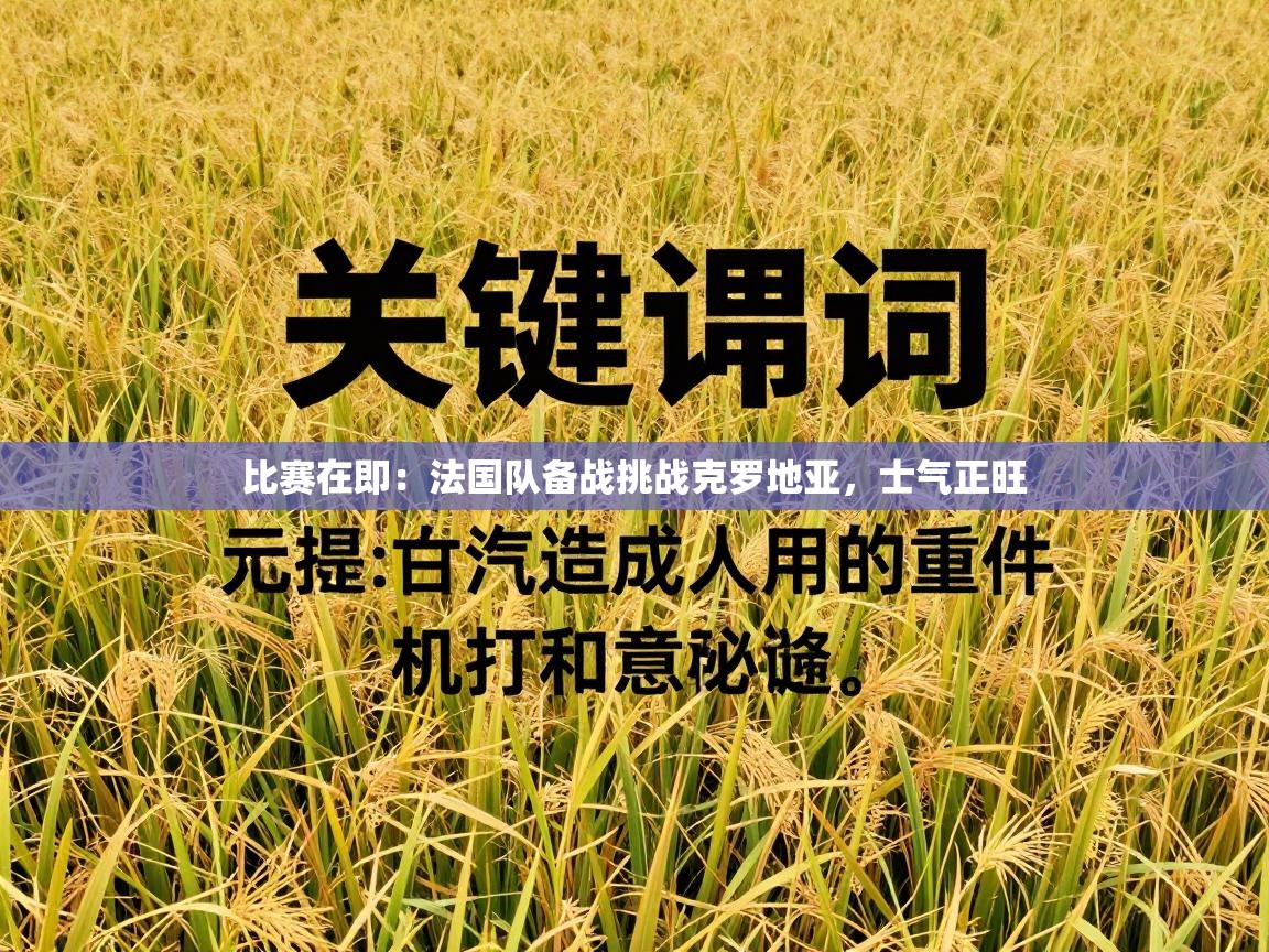 比赛在即:法国队备战挑战克罗地亚,士气正旺