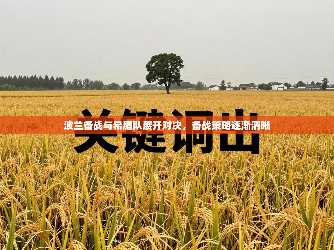 波兰备战与希腊队展开对决,备战策略逐渐清晰